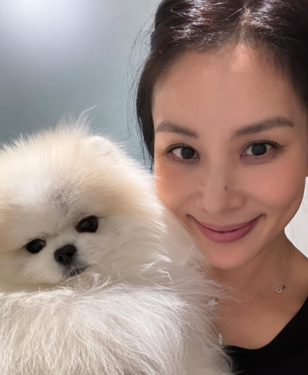 “인스타 공구 보다 보면 사게 되나 봐요” 고소영도 직접 주문한 살림템 역시 집에선 똑같....