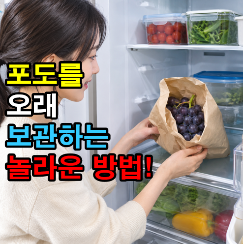 포도 오래 보관하는 놀라운 방법!