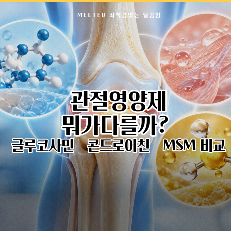 “관절 영양제는 다 비슷한 줄 알았는데…” 글루코사민·콘드로이친·MSM 차이