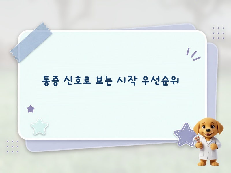 물리치료와 도수치료 중 무엇부터? 정형외과 기준으로 우선순위 잡는 법