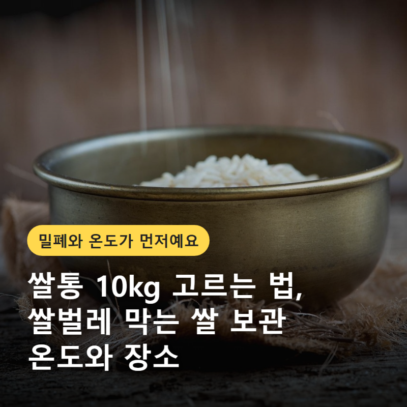 쌀통 10kg 고르는 법, 쌀벌레 막는 쌀 보관 온도와 장소