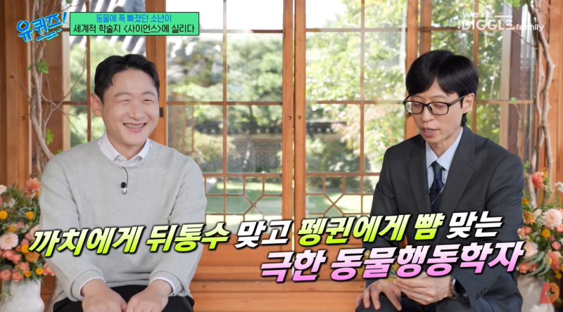까치가 내 얼굴을 기억한다고? 유퀴즈 이원영 박사가 밝힌 놀라운 사실