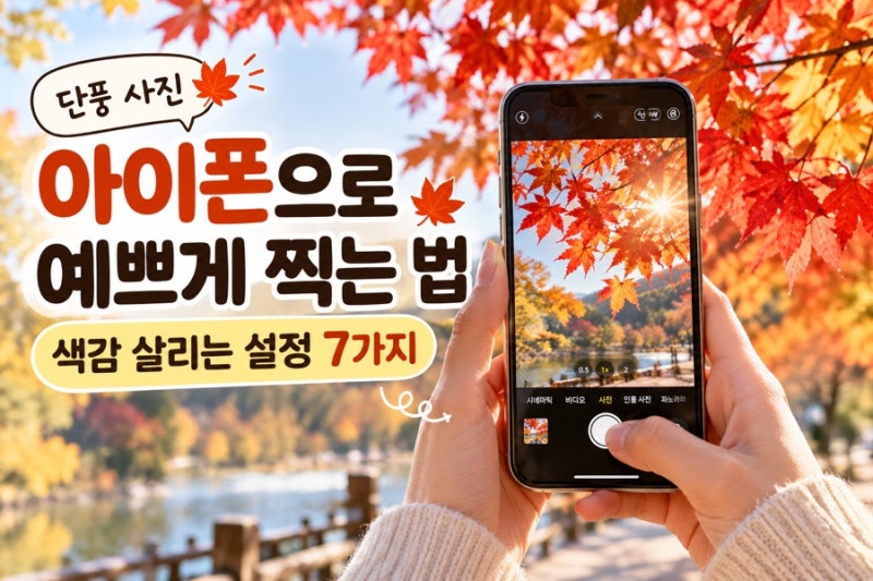 단풍 사진 아이폰으로 예쁘게 찍는 법｜색감 살리는 설정 7가지