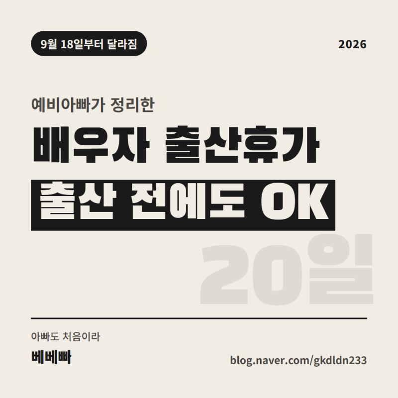 2026 배우자 출산휴가 총정리｜출산 전 사용·20일·급여·신청방법