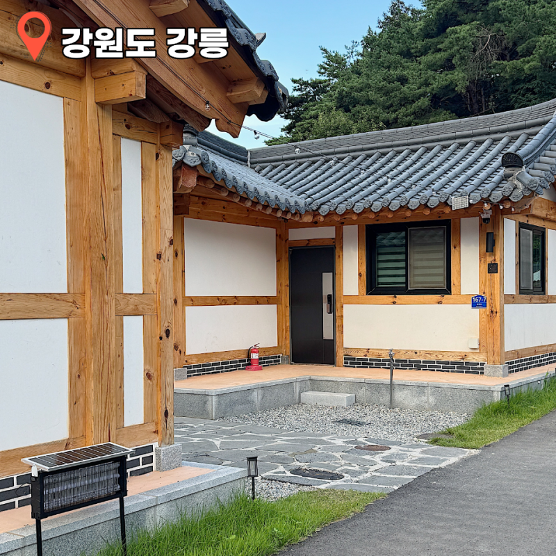 아기랑 강릉 하랑 한옥 풀빌라 후기 개별 수영장 있는 독채펜션