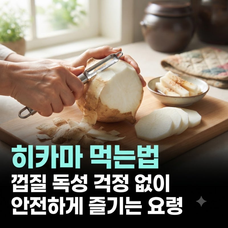 히카마 먹는법 껍질 독성 걱정 없이 안전하게 즐기는 요령