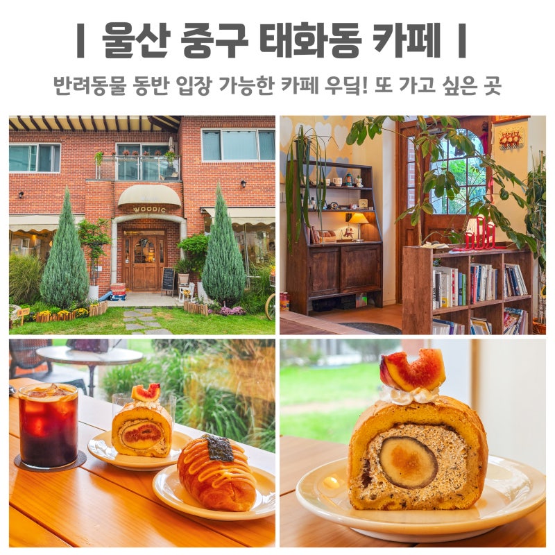 울산 중구 태화동 카페 우딬 애견동반카페 또 가고 싶은 곳
