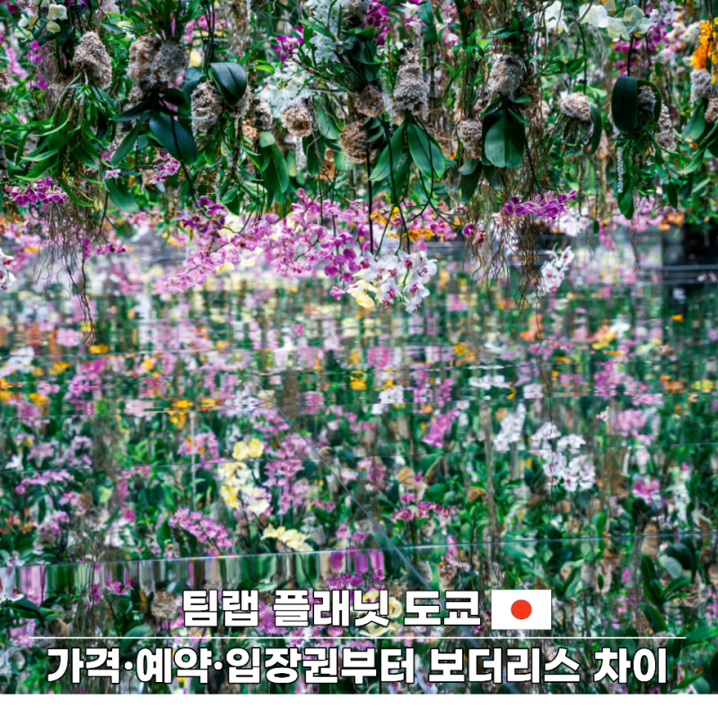 팀랩 플래닛 도쿄｜가격·예약·입장권부터 보더리스 차이까지