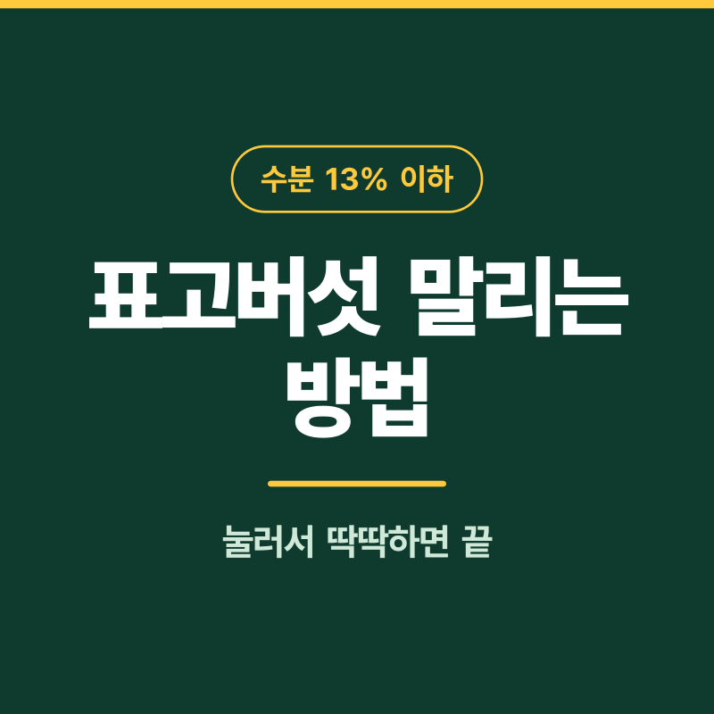 표고버섯 말리는 방법, 씻지 말고 닦기부터