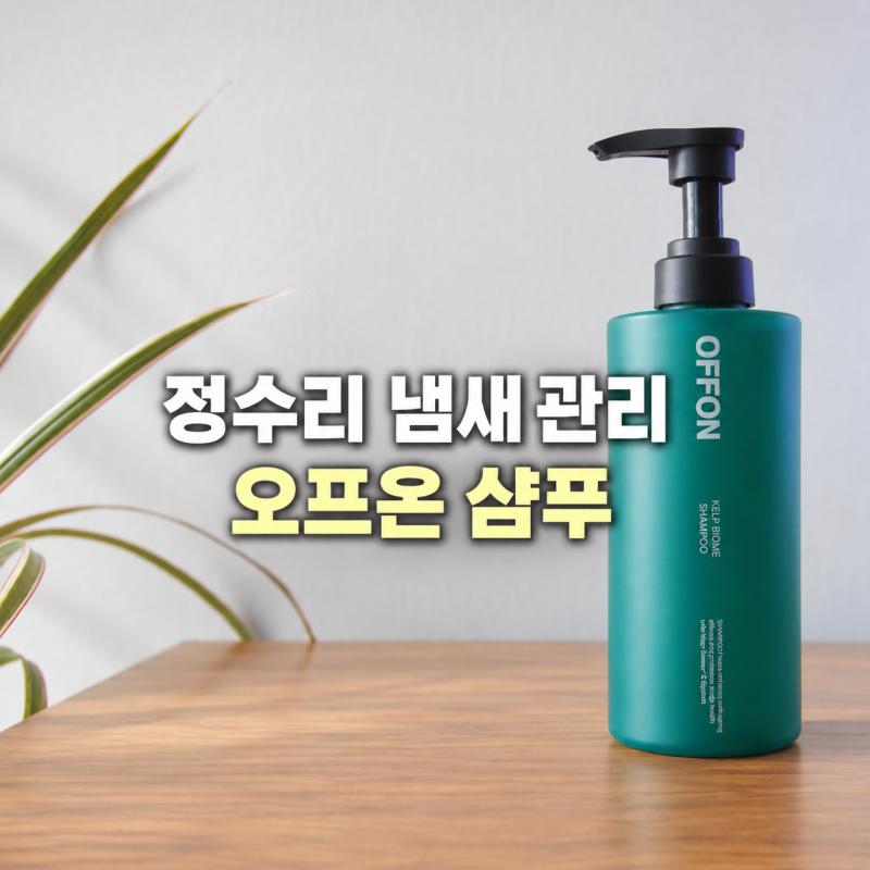 오프온 샴푸, 정수리 냄새 원인부터 없애는 법까지 궁금하다면?