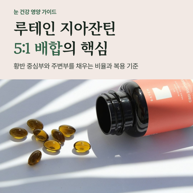 루테인 지아잔틴 비율 차이와 황반 구조, 5대 1 배합과 식후 복용 기준