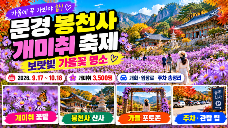 2026 문경 봉천사 개미취축제｜개화·절정시기·입장료·주차 총정리