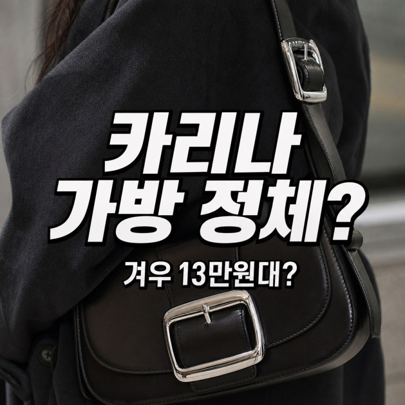 "명품인 줄 알았는데 이 가격?"...카리나 인스타 숄더백 10만원대, 반전 정체에 품절 대란