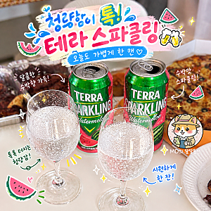 테라 스파클링 수박맛 내돈내산 솔직후기