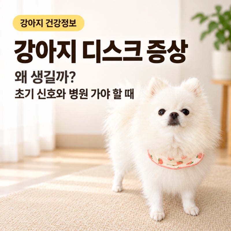 강아지 디스크 증상, 왜 생길까? 초기 신호와 병원 가야 할 때