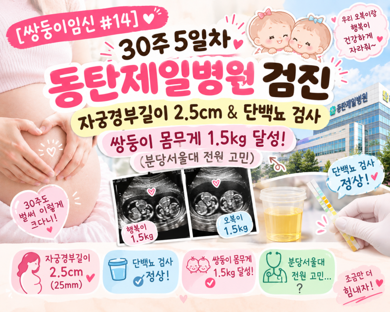 [쌍둥이임신 #14] 30주 5일차 동탄제일병원 검진 | 자궁경부길이 2.5cm & 단백뇨 검사, 쌍둥이 몸....