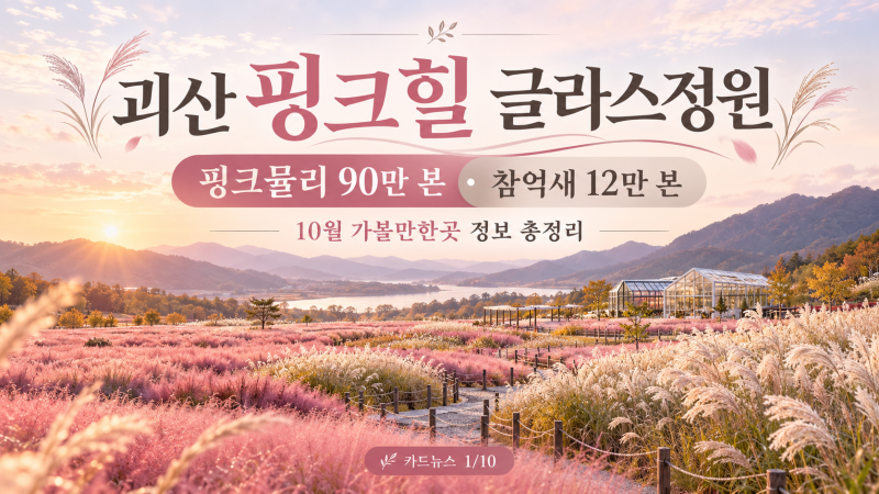 지금 핑크뮬리 절정! 괴산 핑크힐 글라스정원 90만 본 분홍빛 물결
