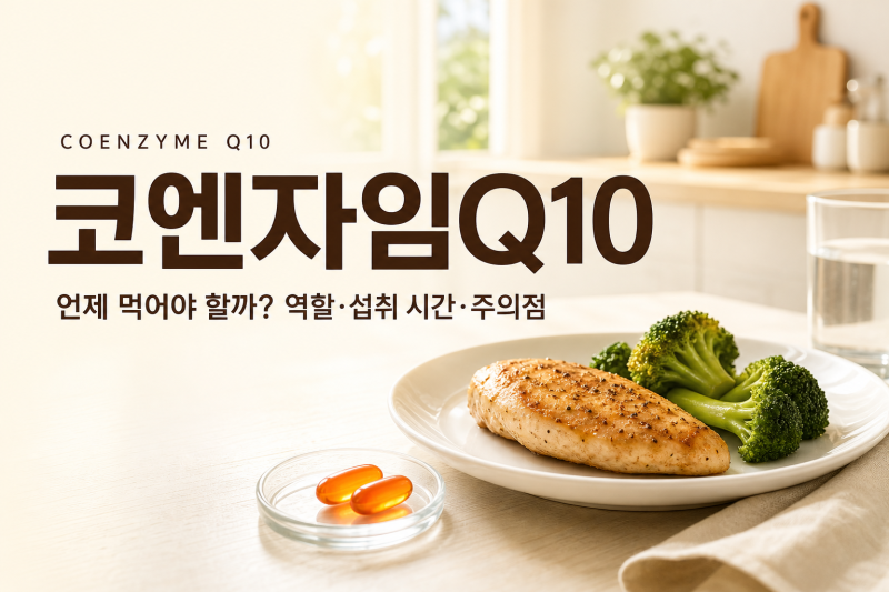 코엔자임Q10, 언제 먹어야 할까? 역할·섭취 시간·주의점