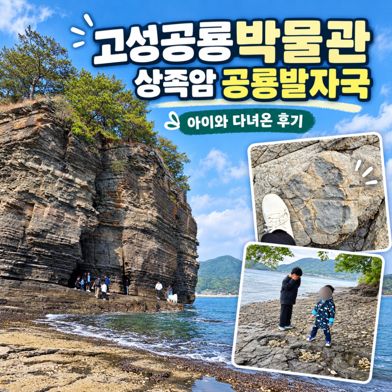 고성공룡박물관 상족암 공룡발자국｜아이와 다녀온 후기, 2026 공룡엑스포 정보