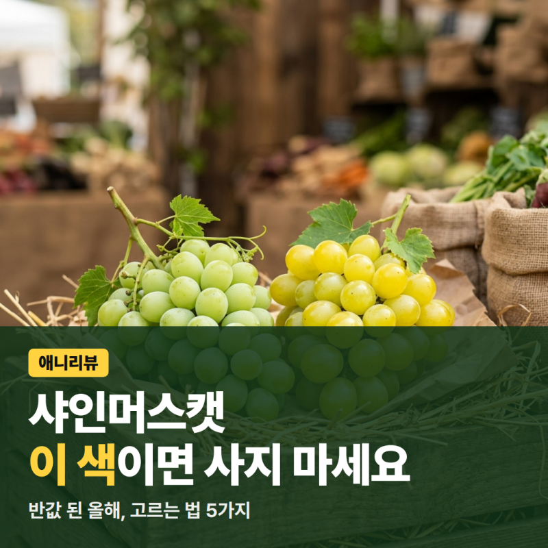 맛있는 샤인머스캣 고르는 법, 이 색은 사면 안 되요