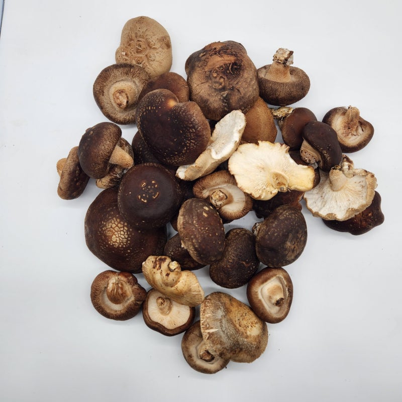 못난이 표고버섯 1kg, 3개월 써보니 왜 이제야 알았나 싶어요!