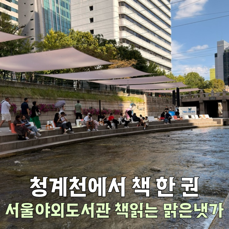 청계천에서 책 읽기 l 서울야외도서관 ‘책읽는 맑은냇가’ 직접 다녀온 후기