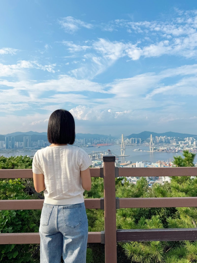 釜山影島必訪景點：青鶴配水池展望台前往方式