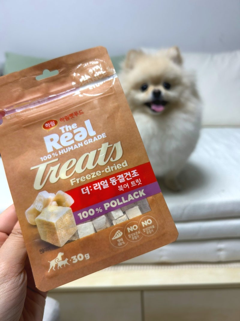 강아지 간식 하림펫푸드 더리얼 동결건조 북어 트릿 후기! 편식하는 강아지 사료 토핑 추천