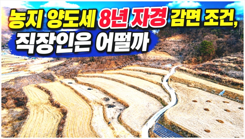 농지 양도세 8년 자경 감면 조건, 직장인은 어떨까