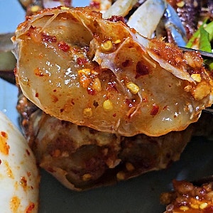 야르렁한 롯데백화점 먹자골목 신상 맛집 매운꽃게무침 학돌이네 괴정점