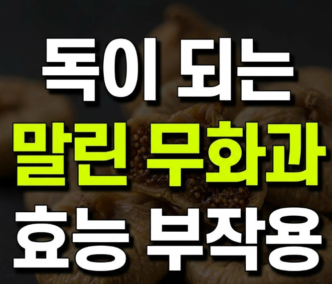무화과 효능과 부작용, 말린 무화과는 하루 몇 알까지 괜찮을까