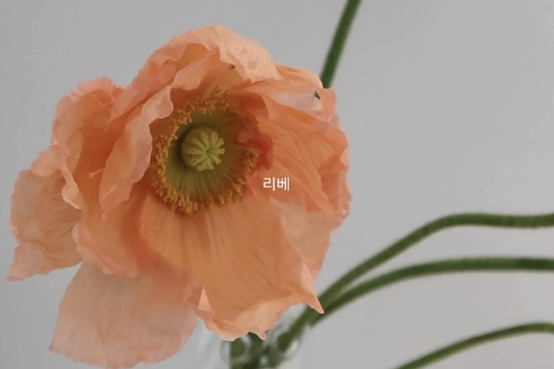 “4년 만에 나타나 결국 울었다”…방송에서 사라졌던 이휘재, 무대서 꺼낸 이야기