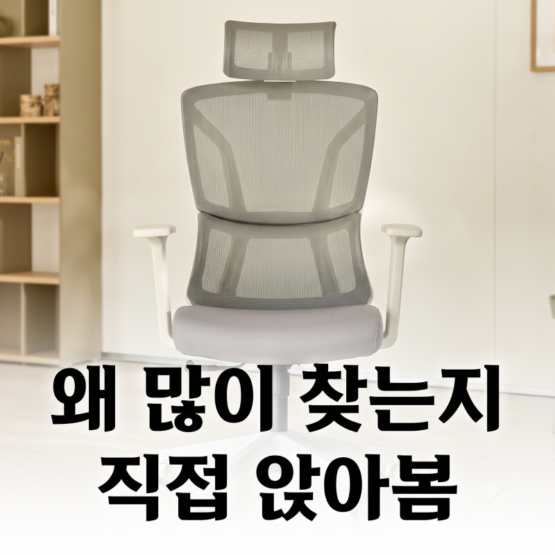 사무용 공부 책상 의자 추천｜듀오백 T-ZERO 메쉬 의자 후기 추천(+가격 할인 학생 최저가)