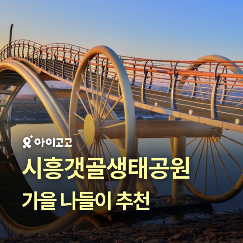 시흥갯골생태공원 이용안내, 염전 체험프로그램 등 총정리 | 가을 나들이 추천, 가을 가볼만....