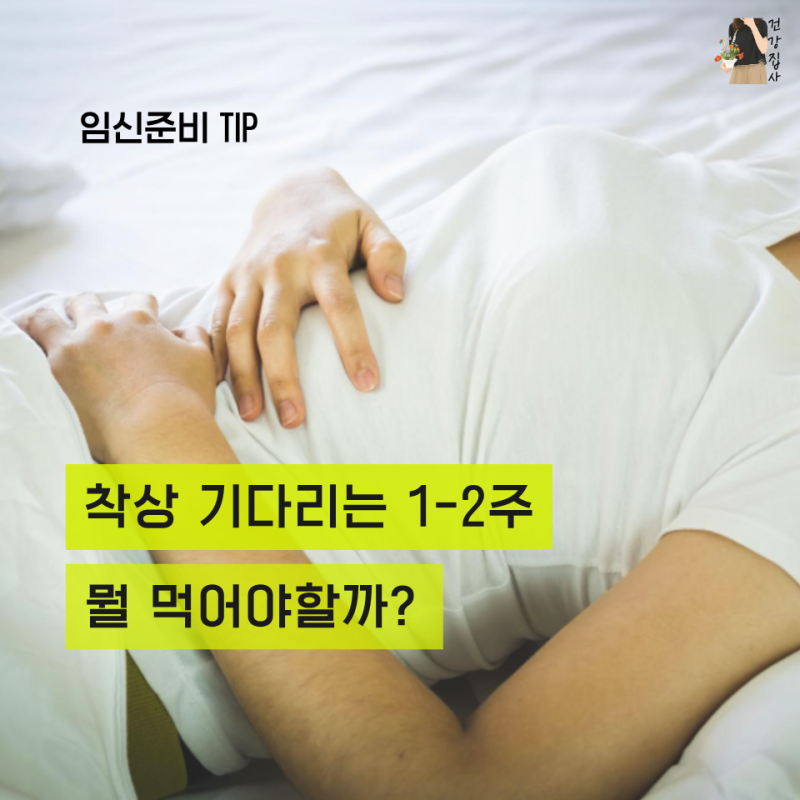"혹시 잘못 먹었나?" 착상기 피하면 좋은 음식과 챙길 음식