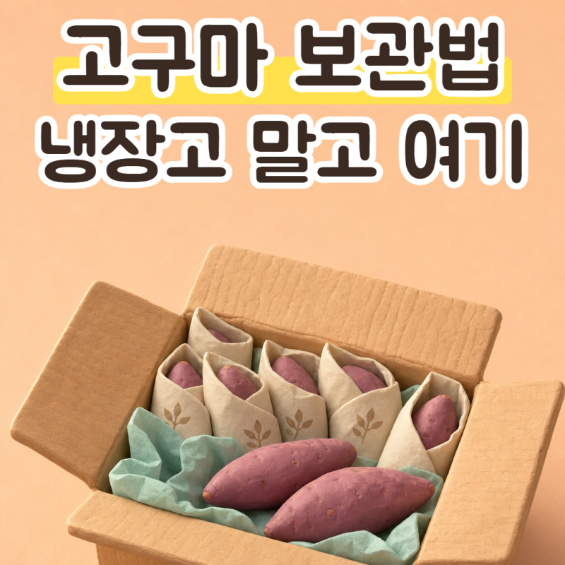 고구마 보관법, 냉장고 보관 안 되는 이유와 고구마 싹 막는 법