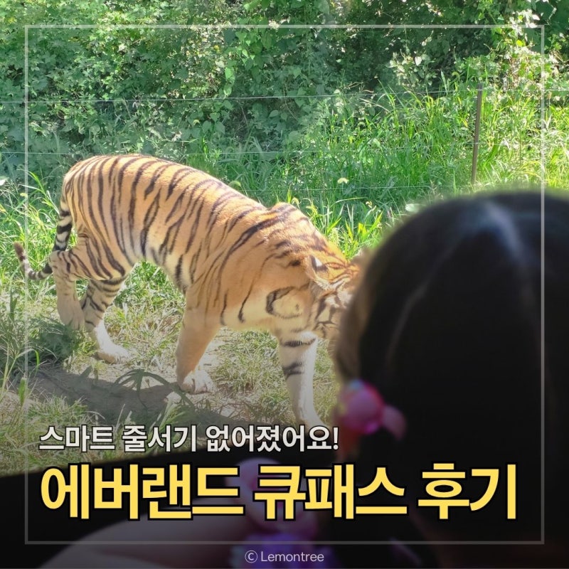 智慧排隊取消後的愛寶樂園Q-Pass Plan-It 3價格、野生動物園預約、週日遊玩心得