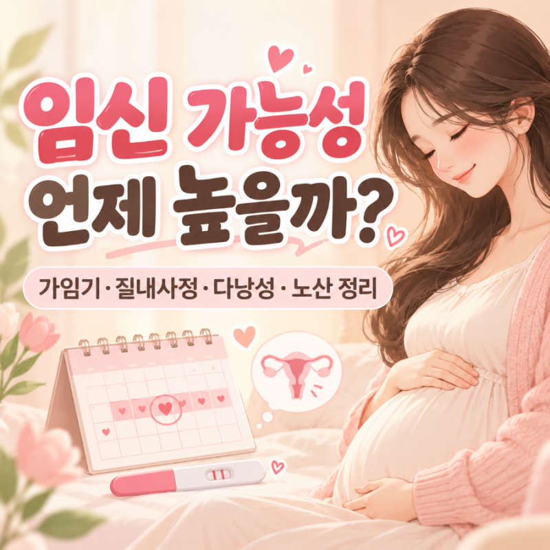 임신 가능성 총정리｜가임기·질내사정·다낭성·노산까지