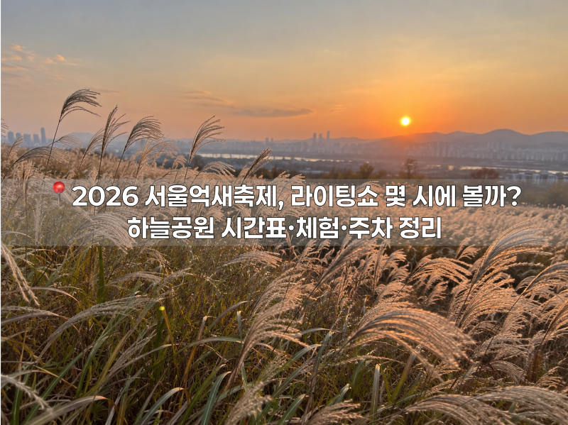 2026 Seoul Eulalia Festival: What Time is the Lighting Show? Haneul Park Schedule, Experiences, and Parking Information