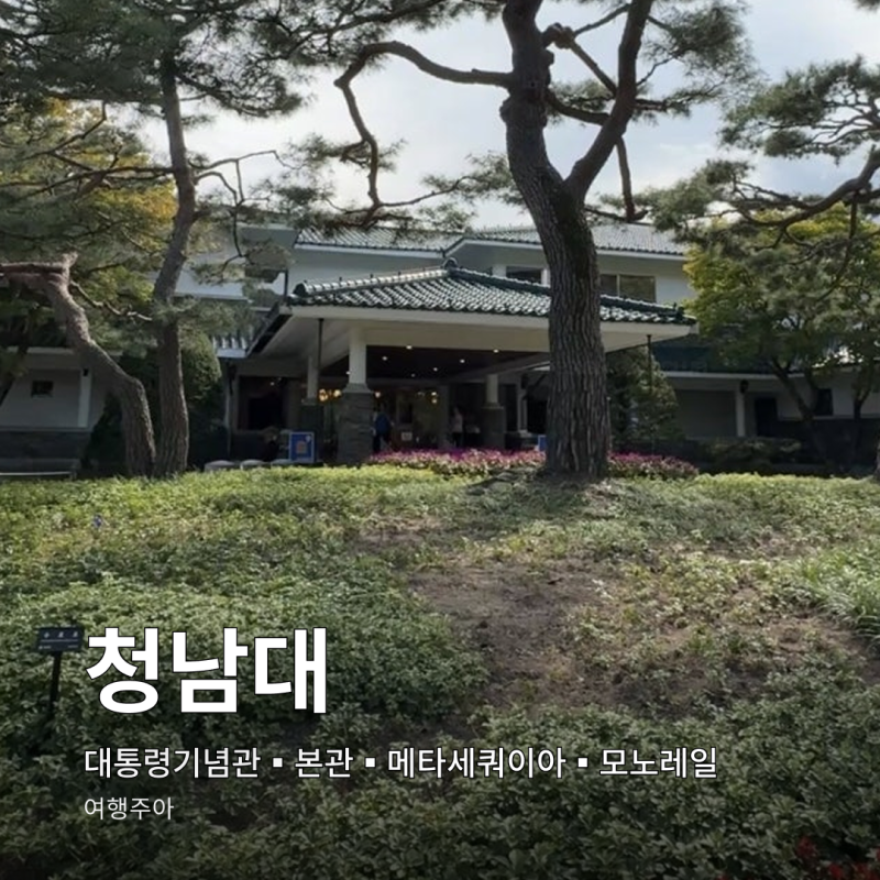 Cheongnamdae Monorail Ride Review: Metasequoia, Cheongnamdae Memorial Hall, and Presidential Residence in Cheongju, Chungbuk