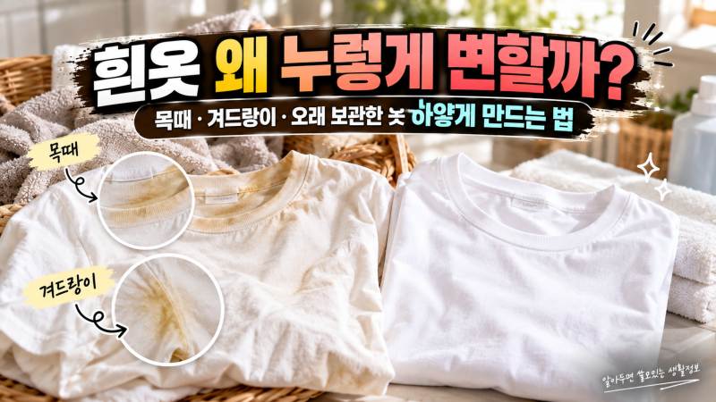 흰옷 왜 누렇게 변할까? 목때·겨드랑이·오래 보관한 옷 하얗게 만드는 법