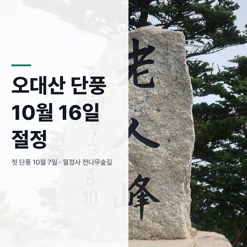 평창 가볼만한곳 오대산 단풍 10월 16일 절정 월정사 전나무숲길 정리