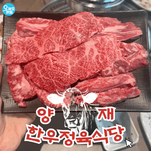 도곡동 고기집 양재역 소고기맛집 양재한우정육식당 ㅣ 투뿔한우 가성비 좋은 회식장소