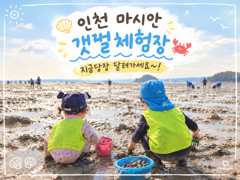 10월 여행 계획 꼭 가야하는 인천 마시안 갯벌 체험장