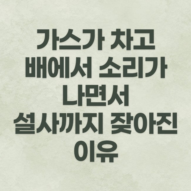 가스가 차고 배에서 소리가 나면서 설사까지 잦아진 이유 (강남 도곡동 한의원)