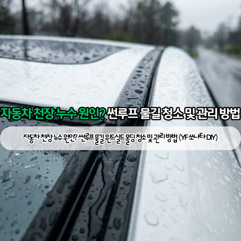 자동차 천장 누수 원인? 썬루프 물길 윈드실드 몰딩 청소 및 관리 방법 (YF 쏘나타 DIY)