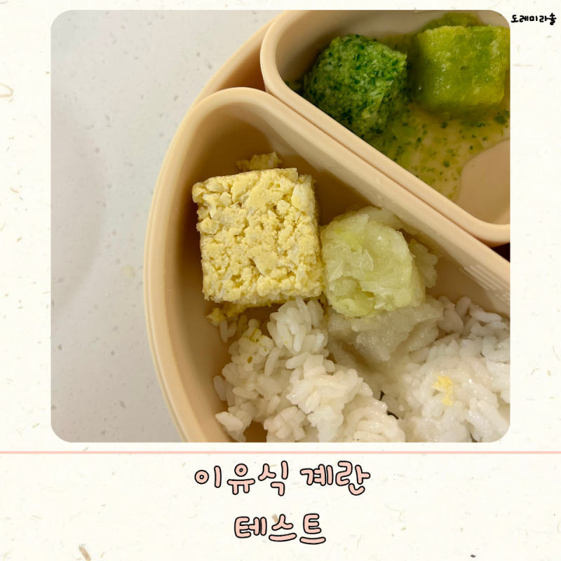 이유식 계란 테스트 시기 노른자 흰자 알러지 반응