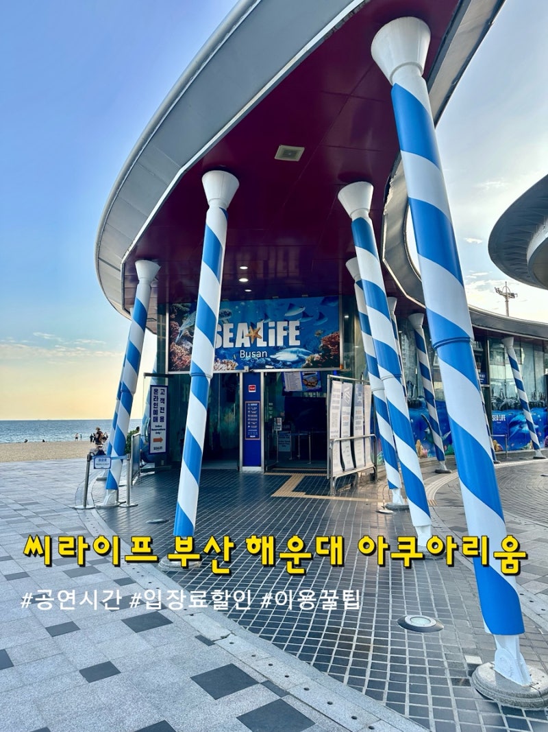 [ 부산 해운대 ] 씨라이프 부산 아쿠아리움 • 입장료 할인꿀팁 • 연간회원권 가격 • 상어....
