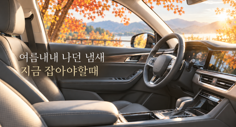 자동차 히터 사용전 냄새, 바스 BAS 차랑용 탈취제와 돌비웨이 에어컨 필터로 잡았어요