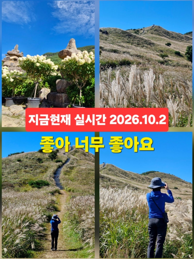 가을여행 경남 축제 합천 황매산 억새 축제 실시간 2026.10.2